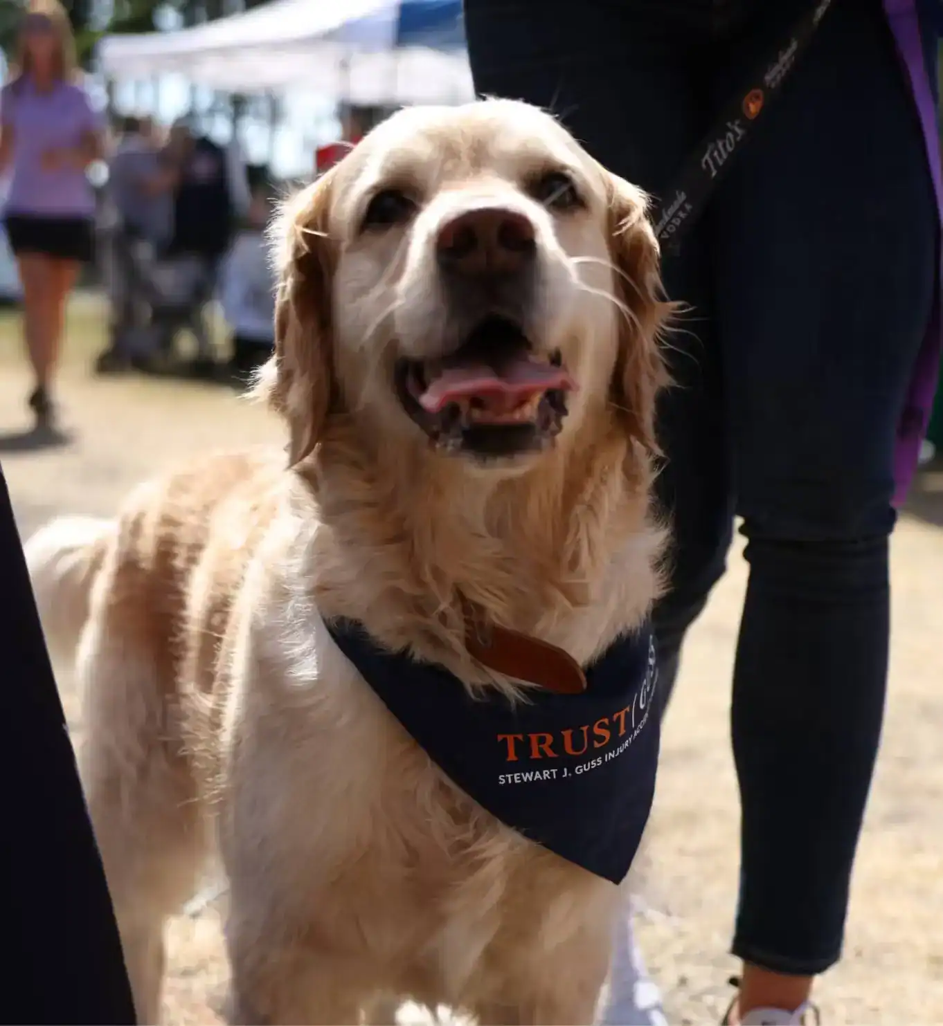 Rescued Pets Movement in Houston saving shelter animals and helping BARC achieve no-kill status since 2013